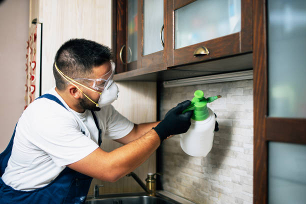 Best Emergency Pest Control  in Plainfield, IL