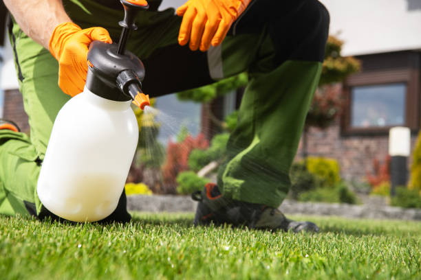 Best Pest Control Near Me  in Plainfield, IL