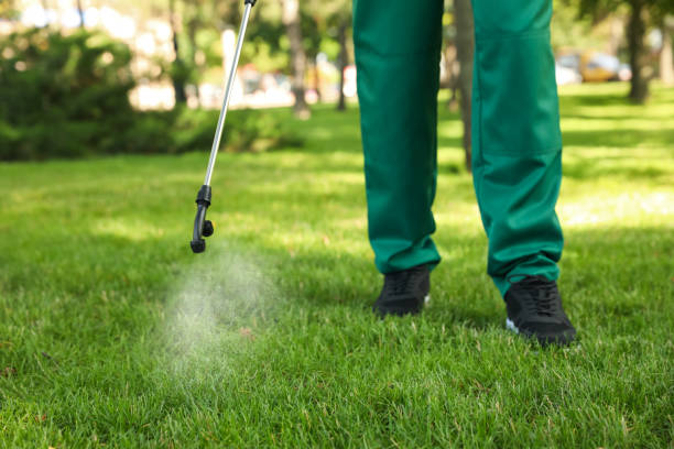 Best Pest Removal Services  in Plainfield, IL