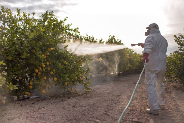 Best Wildlife Control Services  in Plainfield, IL