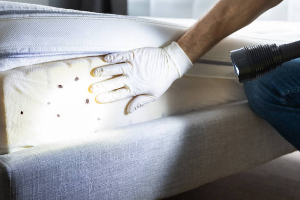 Best Commercial Pest Control Services  in Plainfield, IL