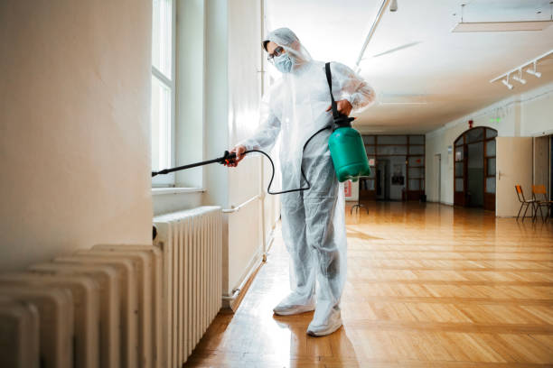 Best Wasp Removal Services  in Plainfield, IL