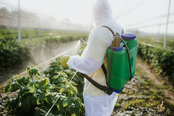 Best Affordable Pest Control Services  in Plainfield, IL